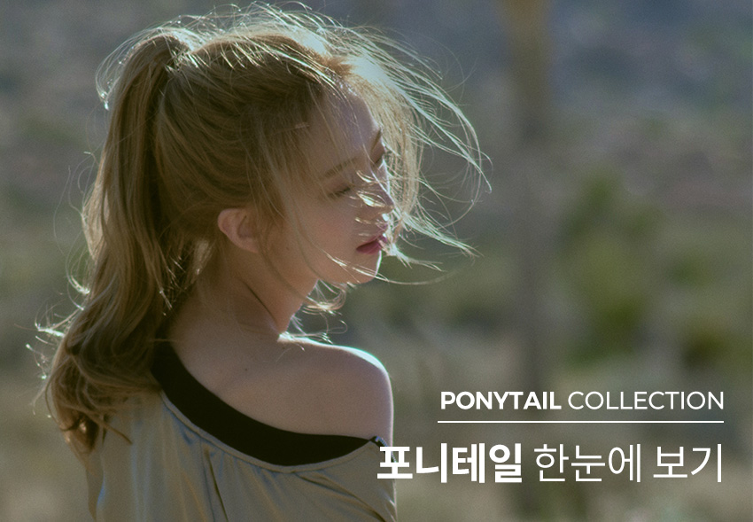Ponytail) Upgrade Check key point!